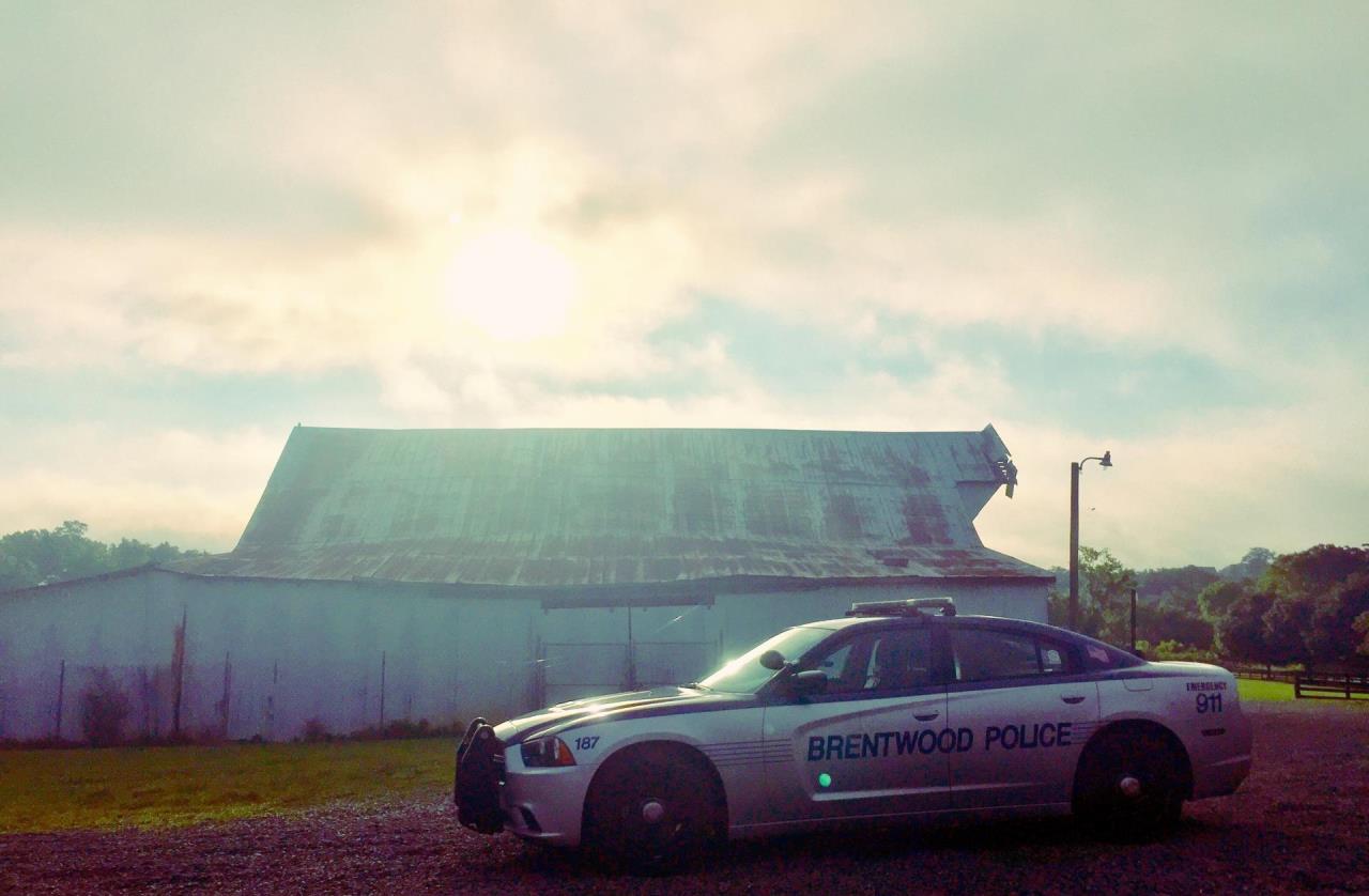 Police Car on the Road